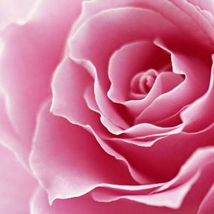 Meet your Posher, Norma